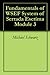Fundamentals of WSEF System of Serrada Escrima Module 3 by Michael Schwarz