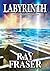 Labyrinth: A Maze of Metaphysical Mysteries