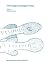 The biology of hypogean fishes (Developments in Environmental Biology of Fishes Book 21)