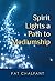 Spirit Lights a Path to Med...
