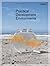 Practical Development Environments
