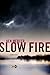 Slow Fire: A Mystery (Will Magowan Book 1)