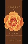 Anatomy Of A Rose...