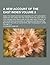 A New Account of the East Indies; Being the Observations and Remarks of Capt. Alexander Hamilton, Who Spent His Time There from the Year 1688 to 172