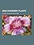 Ainu Economic Plants