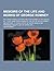 Memoirs of the Life and Works of George Romney; Including Various Letters and Testimonies to His Genius &C.; Also, Some Particulars of the Life of Pet
