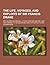 The Life, Voyages, and Exploits of Sir Francis Drake; With Numerous Original Letters from Him and the Lord High Admiral to the Queen and Great Officer