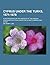 Cyprus under the Turks, 1571 - 1878: A Record Based on the Archives of the English Consulate in Cyprus under the Levant Company and After