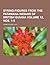 String-figures from the Patamana Indians of British Guiana Vo... by Frank Eugene Lutz