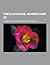 Theologische Jahrbucher (3)...
