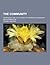 The Community; An Introduction to the Study of Community Leadership and Organization