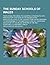 The Sunday Schools of Wales; Their Origin, Progress, Peculiarities, & Prospects; With Introductory Chapters on the Religious and Intellectual State of