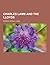 Charles Lamb and the Lloyds