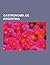 Gastronomia de Argentina: Mate, Empanada, Asado, Chicha, Pizza, Parrillada, Chorizo, Terere, Chicharron, Sangria, Harina Tostada, Mazamorra, Hesperidina, Polenta, Panela, Bunuelo, Charquican, Escabeche, Noqui, Ravioli, Chanfaina