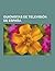 Guionistas de Television de Espana: Fermin Cabal, Narciso Ibanez Serrador, Antonio Gala, Adolfo Marsillach, Angel Martin, David Torres, Maite Carranza, Valerio Lazarov, Diego Moldes, Enric Rufas, Alfonso Paso, Jose Luis Coll