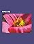 Masaje: Quiromasaje, Shiatsu, Reflexologia, Masaje Transverso Profundo, Masoterapia, Reflexoterapia, Digitopuntura, Drenaje Linfatico Manual, Relajacion Muscular Progresiva de Jacobson, Vinoterapia, Masaje Gestaltico, Masaje Sensitivo