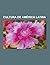 Cultura de America Latina: Arte Latinoamericano, Premios de America Latina, Opera En America Latina, Premio Miguel de Cervantes, Opera Mexicana, Arte Colonial Hispanoamericano, Repertorio Americano, Cine de America Latina