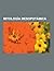 Mitologia Mesopotamica: Mitologia Acadia, Mitologia Asiria, Mitologia Babilonica, Mitologia Sumeria, Ishtar, Astarte, Poema de Gilgamesh, Diluvio Universal, Atrahasis, Reyes Antediluvianos, Enki y Ninmah, Baal, Nibiru