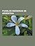 Pueblos Indigenas de Argentina: Pehuenche, Diaguita, Guaranies, Charrua, Wichi, Atacameno, Comechingones, Quechua, Puelche, Confederacion Boroana, Ran