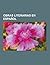 Obras Literarias En Espanol: Ensayos En Espanol, Novelas En Espanol, Obras de Teatro En Espanol, Don Quijote de la Mancha, Erec y Enide, Novelas Ej