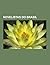 Novelistas Do Brasil: Erico Verissimo, Raduan Nassar, Carlos Nejar, Autran Dourado, Hilda Hilst, Odilo Costa Filho, Adonias Filho, Origenes Lessa, Cintia Moscovich, Moacir Costa Lopes, Menalton Braff, Josue Montello, Clarah Averbuck