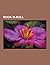 Rock-'n-Roll: Elvis Presley, Jerry Lee Lewis, Chuck Berry, Peter Koelewijn, Fats Domino, Shakin' Stevens, Duane Eddy, Tielman Brothers, Buddy Holly, Bo Diddley, Wanda Jackson, Brian Setzer, Brenda Lee, the Brian Setzer Orchestra