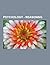 Psychology - Reasoning: Inductive Deductive Reasoning, Logic, Logical Fallacies, Inference, Transitive Inference, Abductive Reasoning, Abductive Validation, Analogy, Analytic Philosophy, Argument, Argumentation Theory, Arguments
