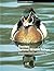Choctaw National Wildlife R...