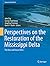 Perspectives on the Restoration of the Mississippi Delta: The Once and Future Delta (Estuaries of the World)