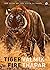 Tiger Fire: 500 Years Of The Tiger In India