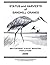 Status and Harvests of Sandhill Cranes by David E. Sharp
