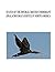 Status of the Double-crested Cormorant (Phalacrocorax auritus) in North America