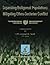 Separating Belligerent Populations: Mitigating Ethno-Sectarian Conflict