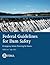 Federal Guidelines for Dam ...