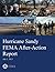 Hurricane Sandy FEMA After-...