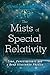 The Mists of Special Relativity: Time, Consciousness and a Deep Illusion in Physics