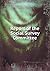 Report of the Social Survey Committee by Keystone Press