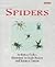 Spiders