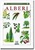 Alberi