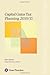 Capital Gains Tax Planning ...