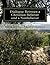 Dialogue Between a Christian Believer and a Nonbeliever by Robin Levin