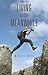 Living in the Meanwhile by Michael Potts