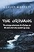 The Orphans: The Strange Adventures of a Cyclops, an Elf, and a Girl who wouldn't go away.