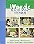 Words Their Way for PreK-K (Words Their Way Series)
