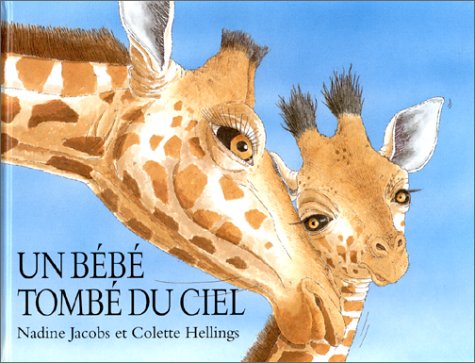 Un Bébé tombé du ciel (Board book)