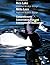 Rice Lake and Mille Lacs: N...