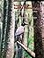 Roanoke River National Wild...