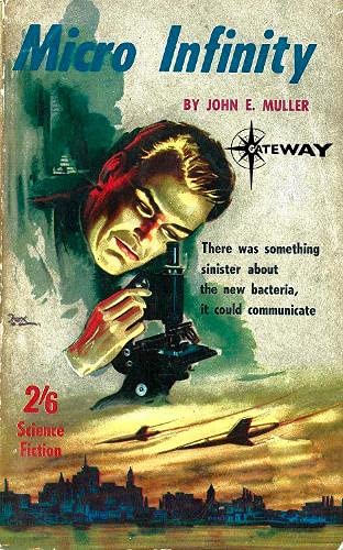 Micro Infinity (Kindle Edition)