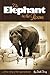 Elephant in the Room: A True Story of the Supernatural