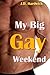My Big Gay Weekend